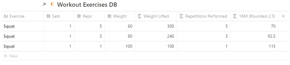 Squats entered in the workout exercises database.